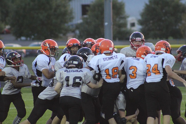 TA：特朗普将在世界杯抽签仪式上接受国际足联和平奖并发表讲话